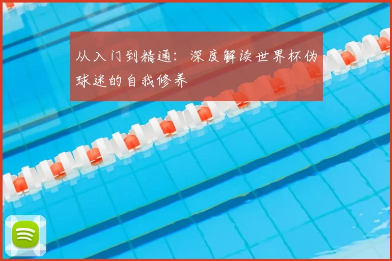 从入门到精通:深度解读世界杯伪球迷的自我修养
