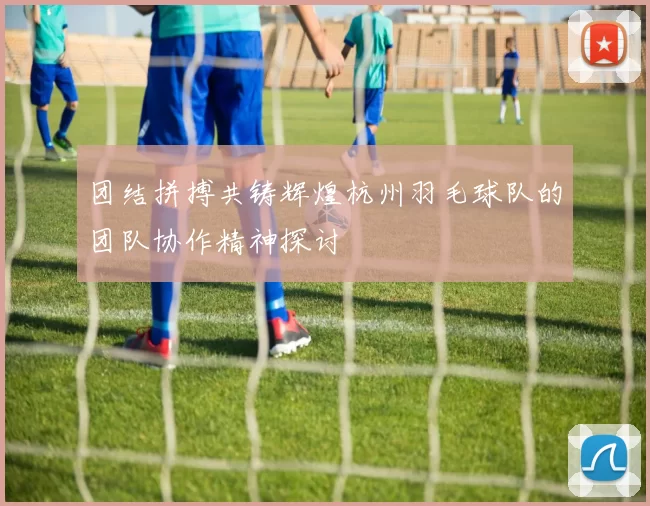 团结拼搏共铸辉煌杭州羽毛球队的团队协作精神探讨