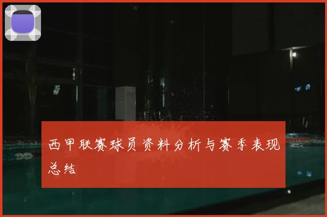 西甲联赛球员资料分析与赛季表现总结