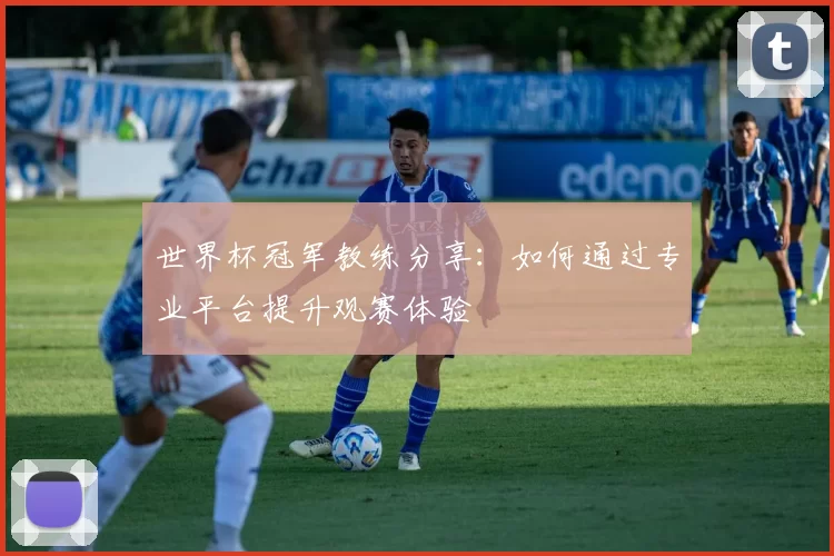 世界杯冠军教练分享：如何通过专业平台提升观赛体验