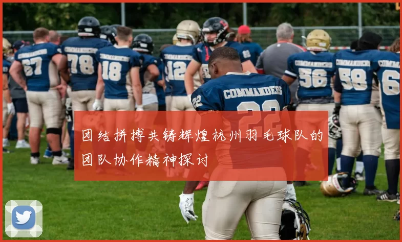 团结拼搏共铸辉煌杭州羽毛球队的团队协作精神探讨