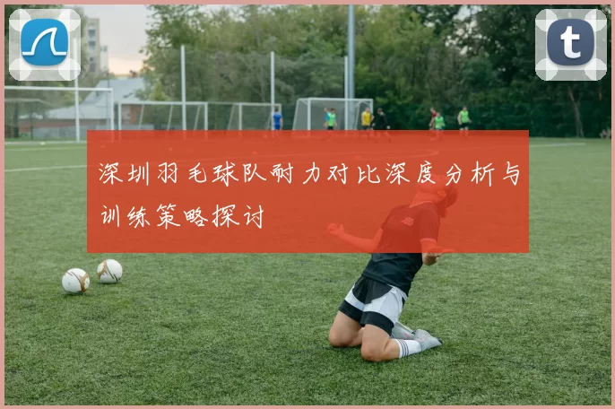 深圳羽毛球队耐力对比深度分析与训练策略探讨