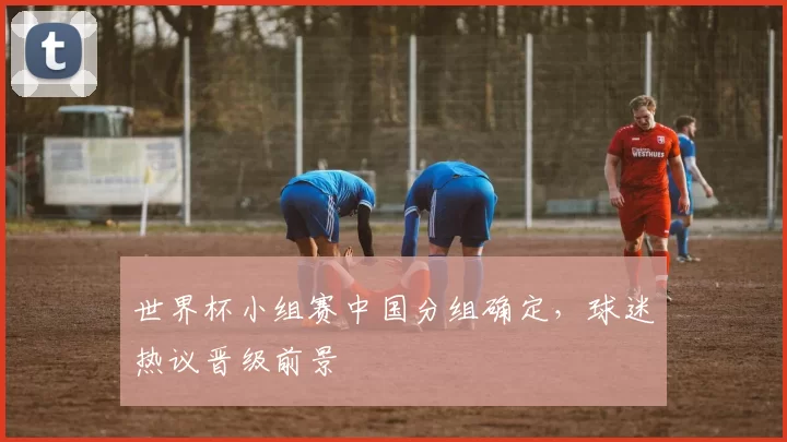 世界杯小组赛中国分组确定,球迷热议晋级前景