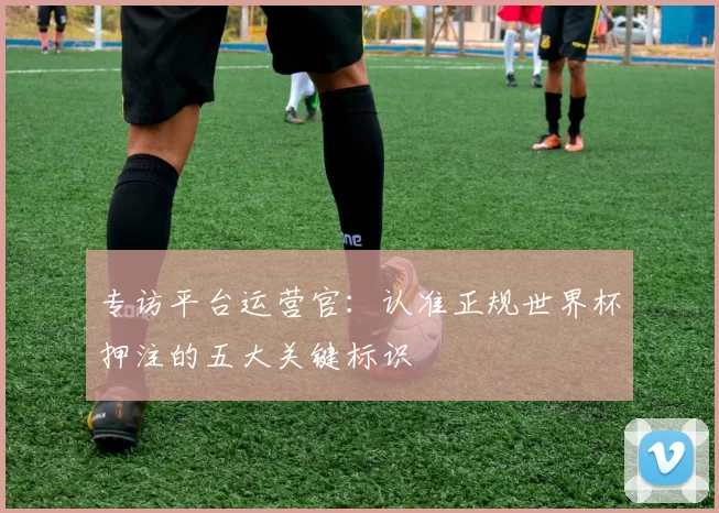 专访平台运营官：认准正规世界杯押注的五大关键标识