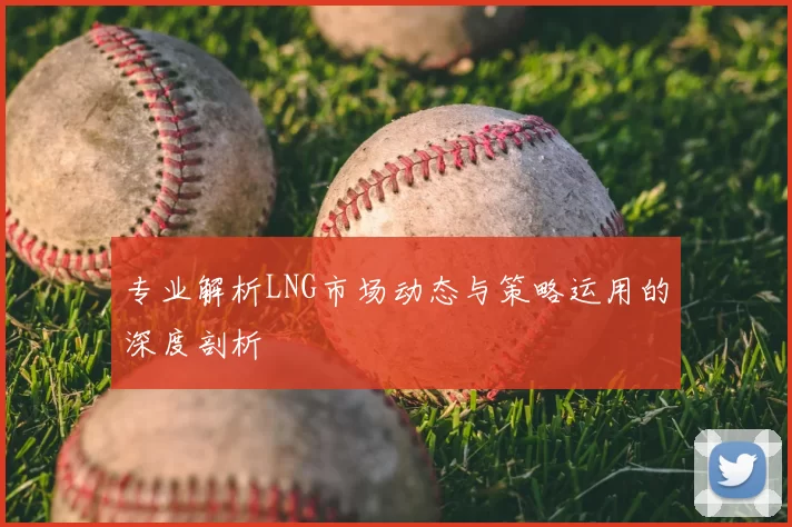 专业解析LNG市场动态与策略运用的深度剖析