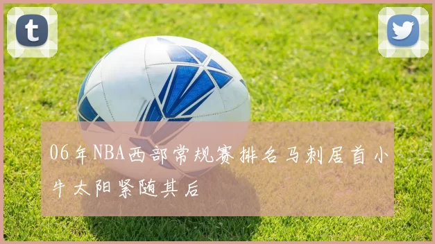 06年NBA西部常规赛排名马刺居首小牛太阳紧随其后