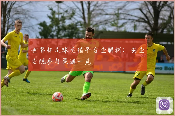世界杯足球竞猜平台全解析：安全合规参与渠道一览