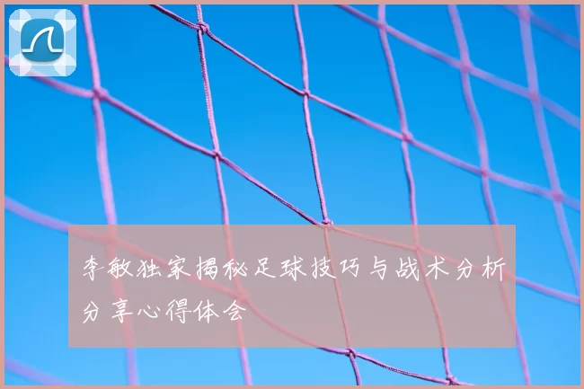 李敏独家揭秘足球技巧与战术分析分享心得体会