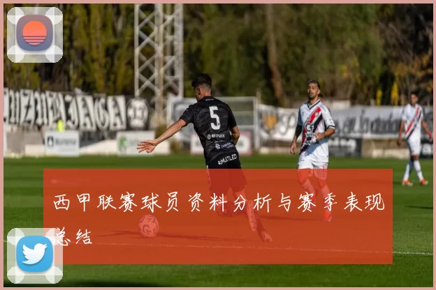 西甲联赛球员资料分析与赛季表现总结