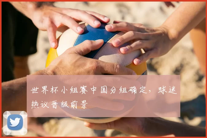 世界杯小组赛中国分组确定,球迷热议晋级前景
