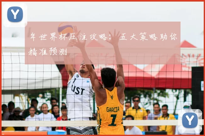 年世界杯压注攻略：五大策略助你精准预测