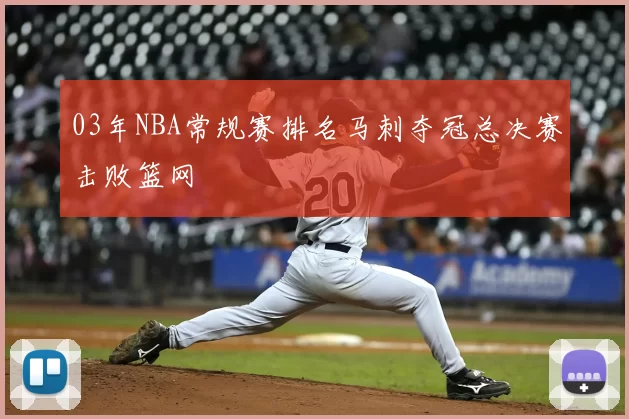 03年NBA常规赛排名马刺夺冠总决赛击败篮网