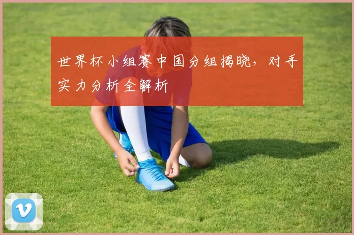 世界杯小组赛中国分组揭晓，对手实力分析全解析